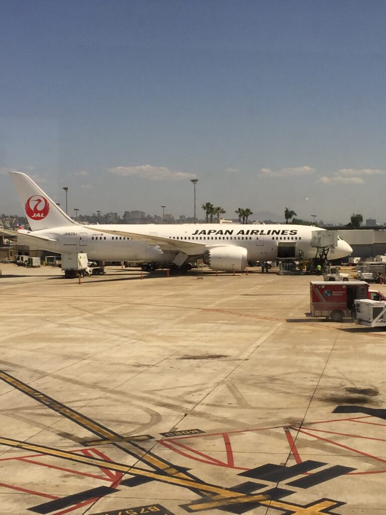 jal 787 1