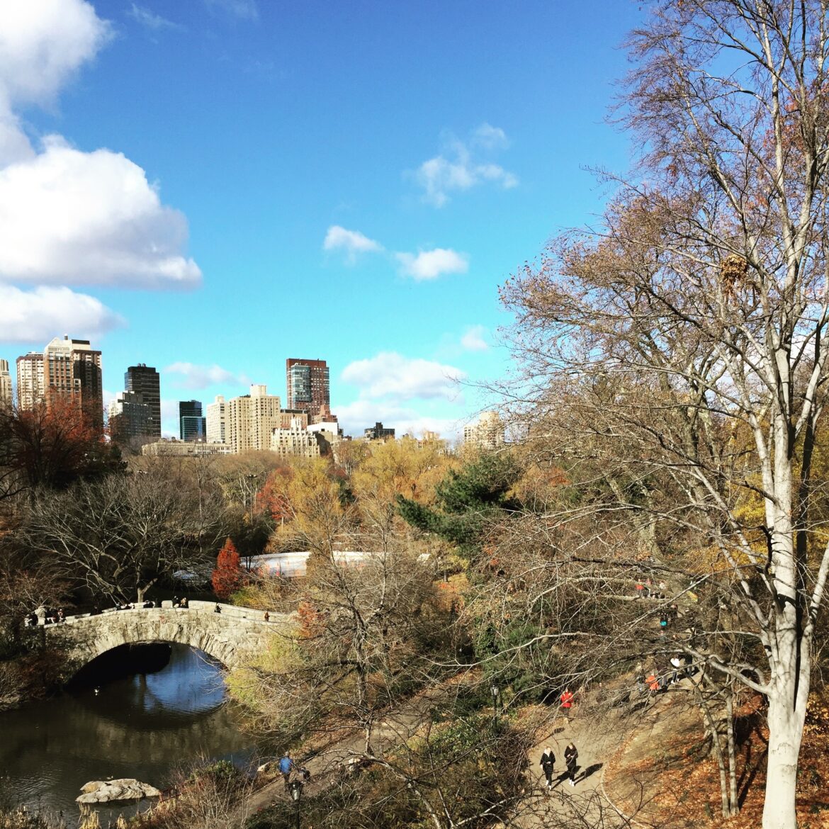 a bridge over a river with trees and a city in the background