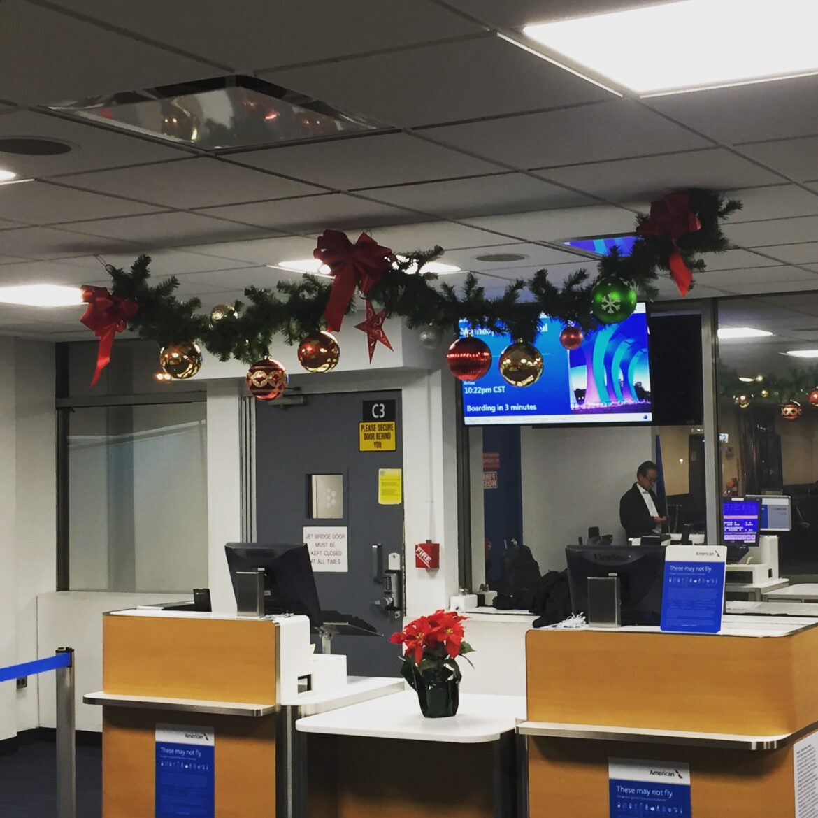 IMG_6690-1 a christmas decorations in a building