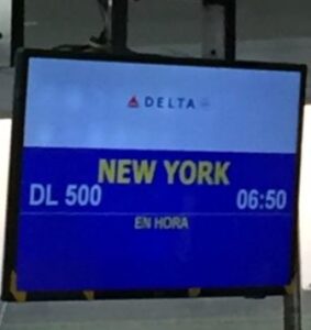 Delta Santo Domingo to New York