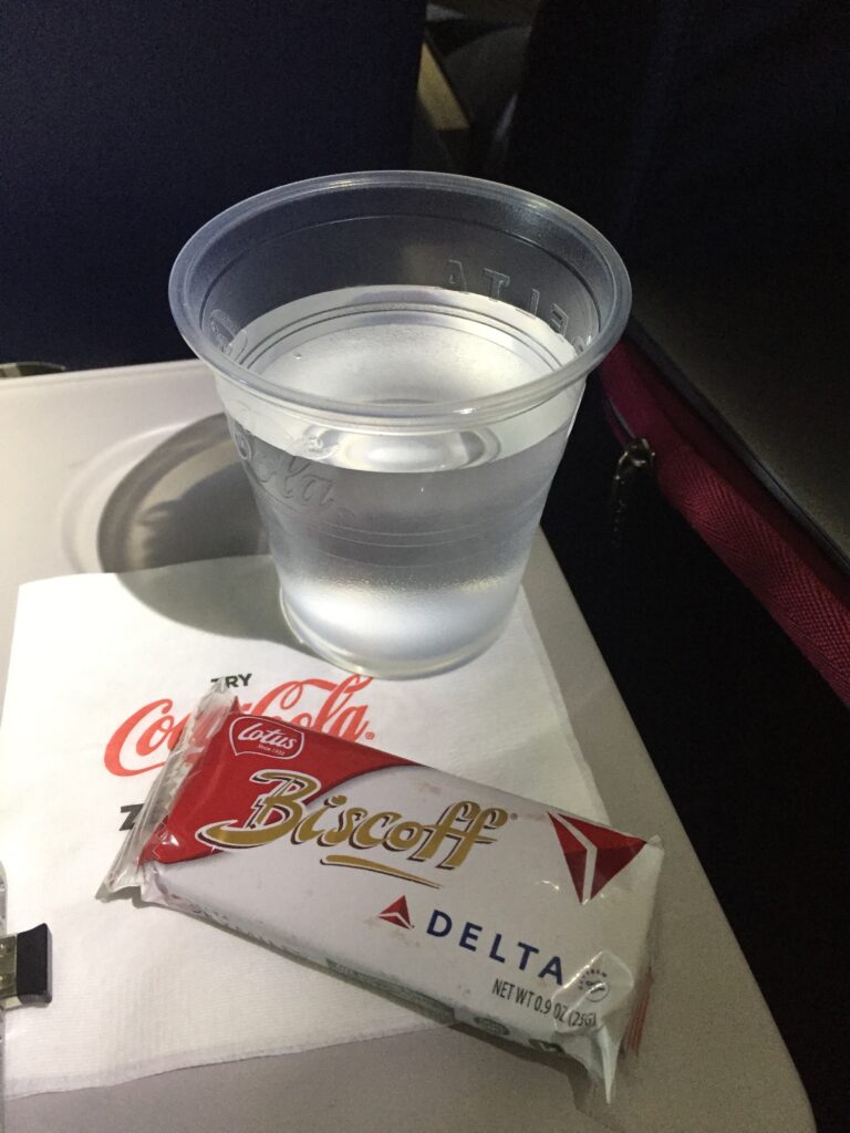 Delta Airlines LaGuardia Detroit