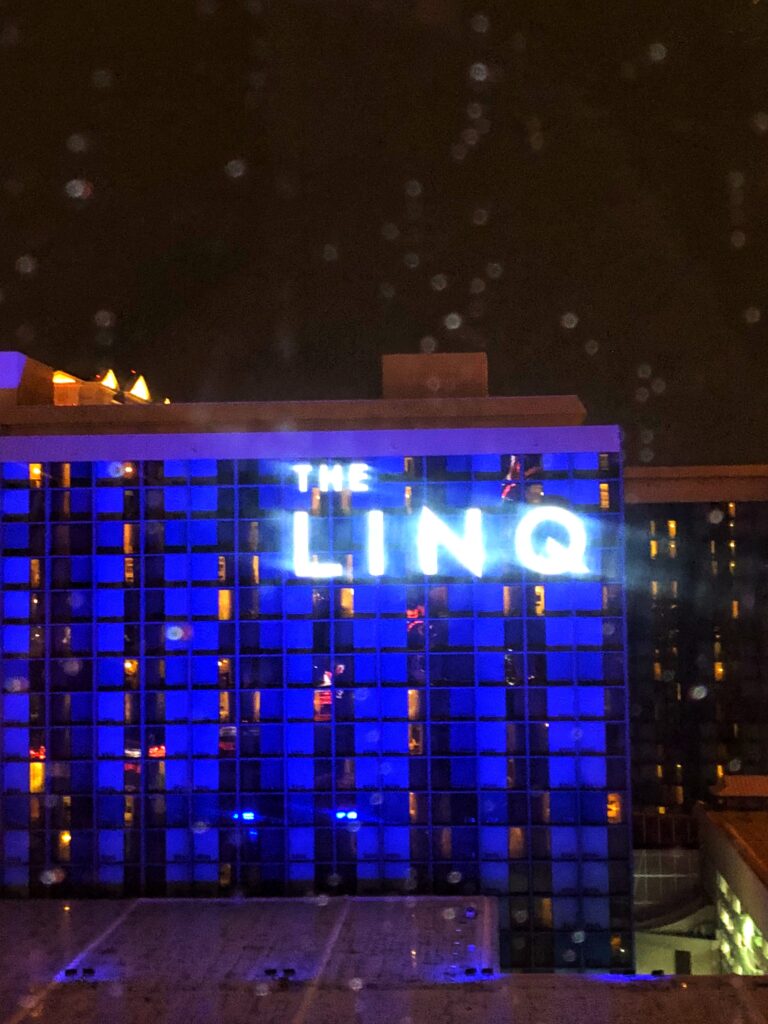 Vegas Winter Experience 2018