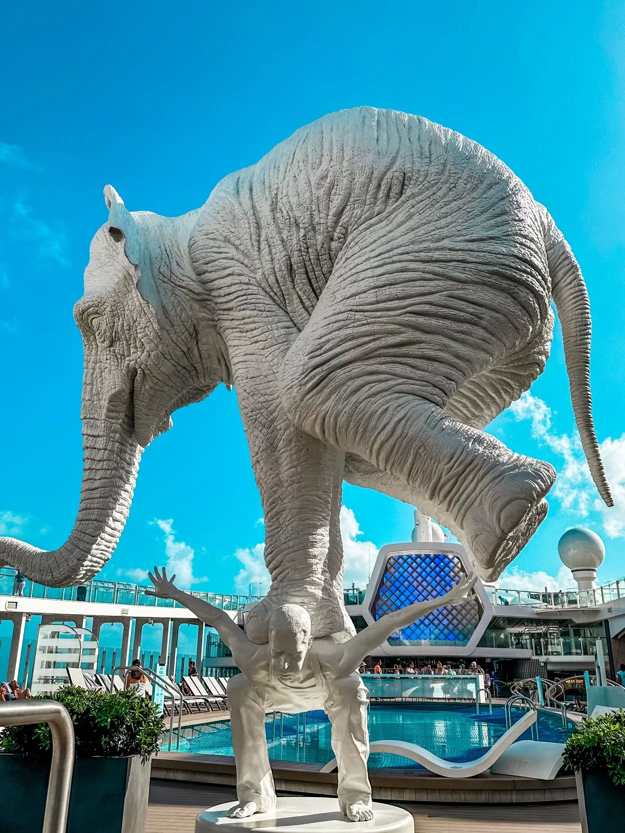 Elephant on the Resort Deck on Celebrity Beyond