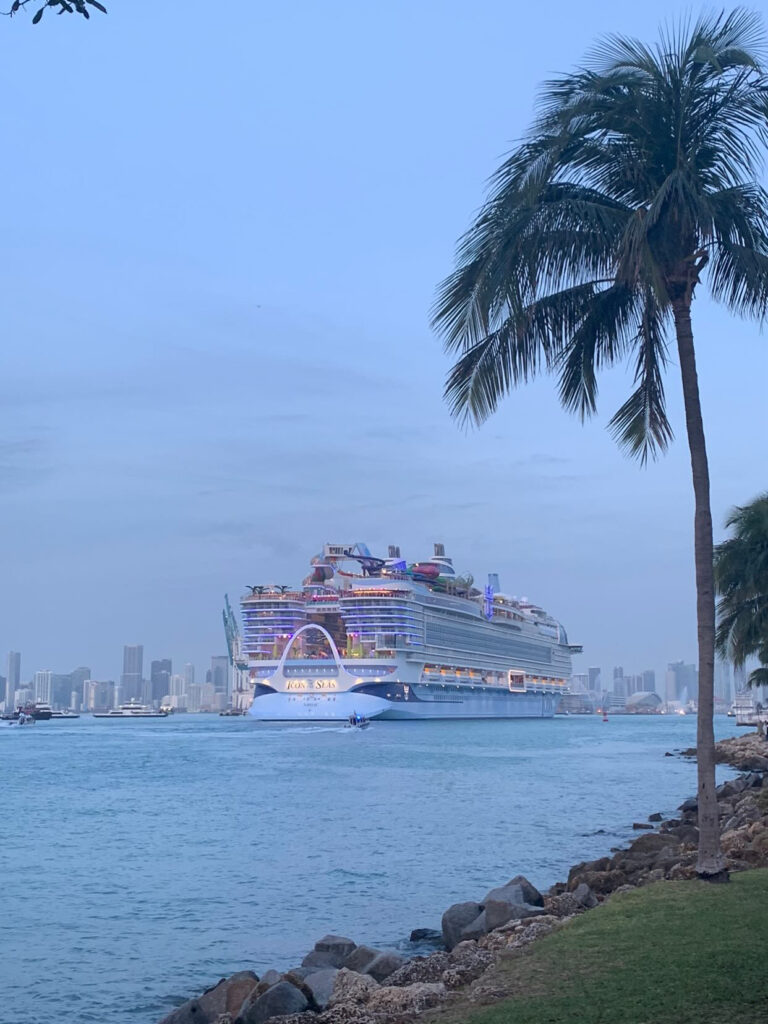 Icon of the Seas with Palm Tree In Miami