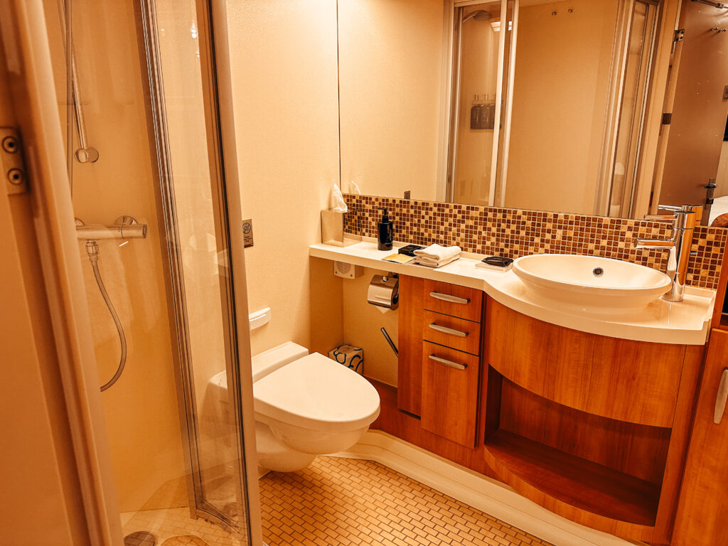 Inside room bathroom with shower on Celebrity Reflection - Celebrity Reflection - Four Great Things